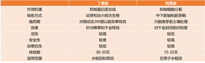 新技術(shù)引領(lǐng)丁草胺進(jìn)入水稻直播田,效果杠杠滴 {xunruicms_img_title}