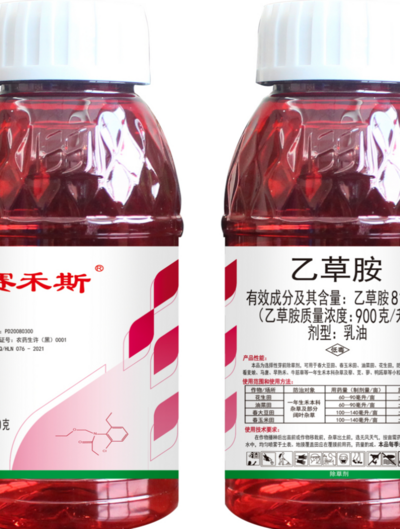 賽禾思.png